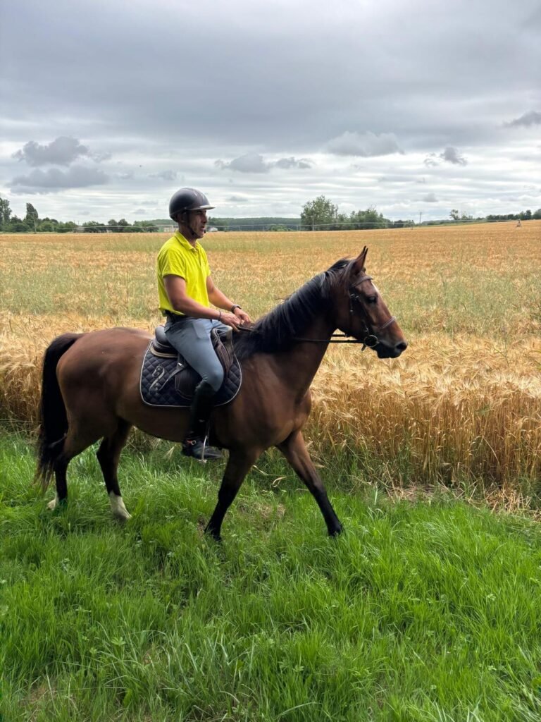 86e2ff7f-db6f-4cb9-a0f3-9e1747e0805b