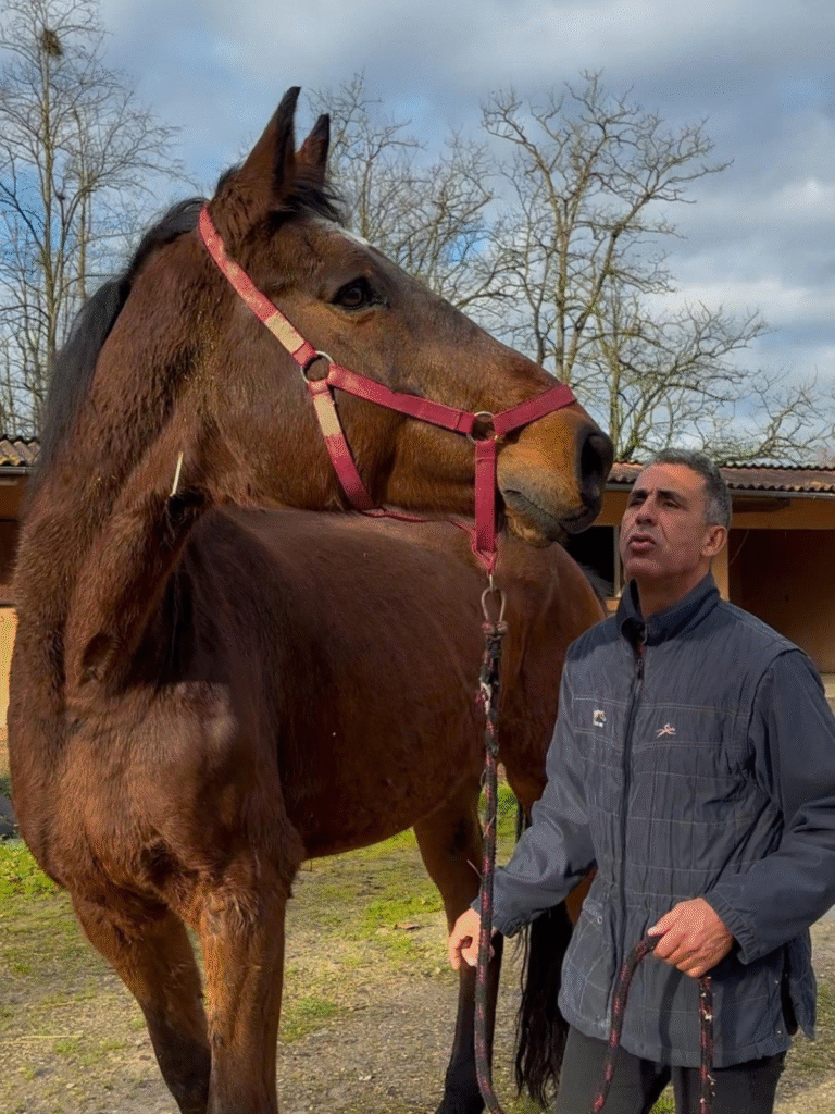 Design sans titre (12)