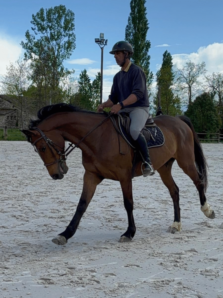 Design sans titre (13)