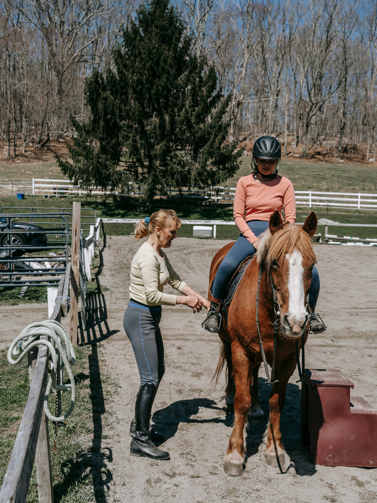 Cours particulier à cheval