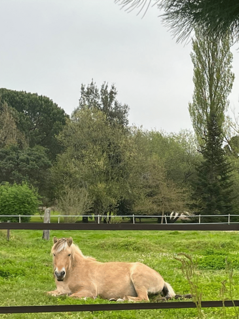 Design sans titre (25)