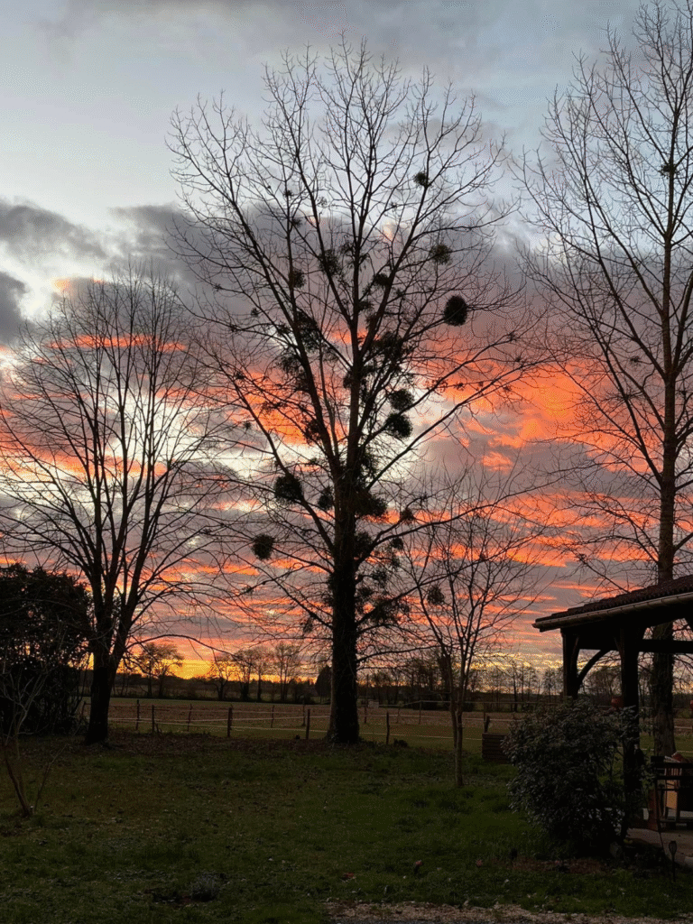 Design sans titre (26)