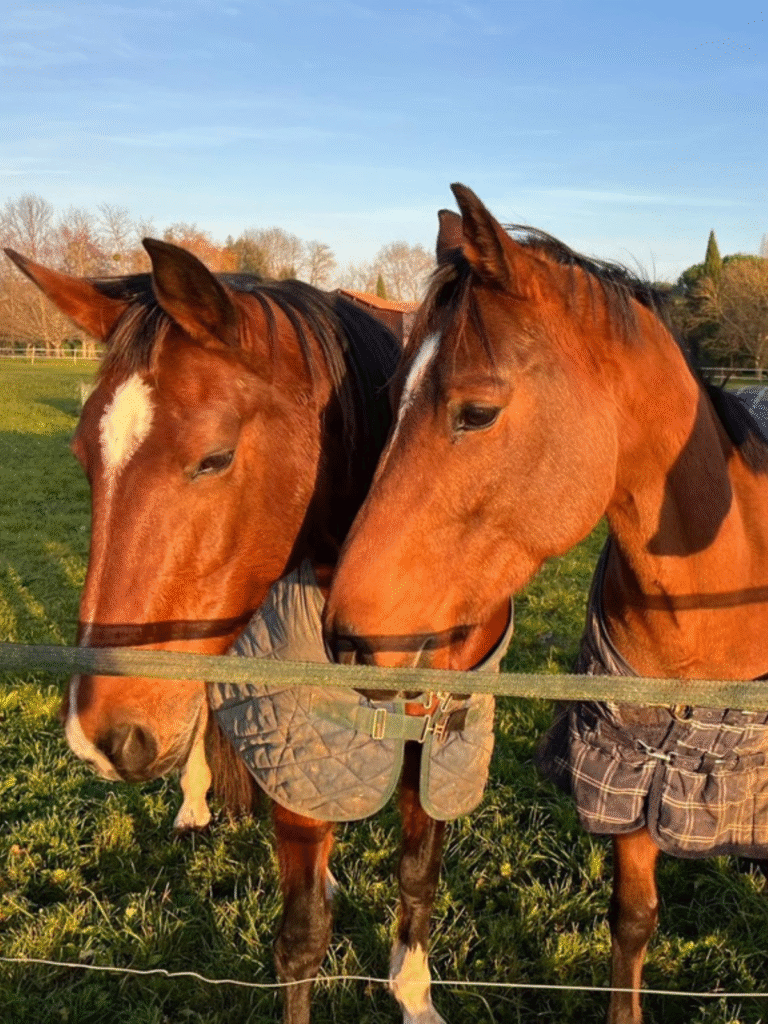 Design sans titre (26)