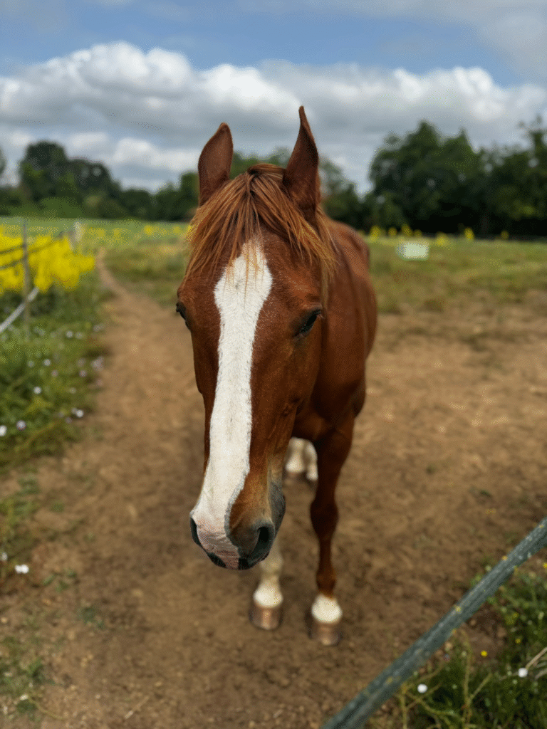 Design sans titre (27)