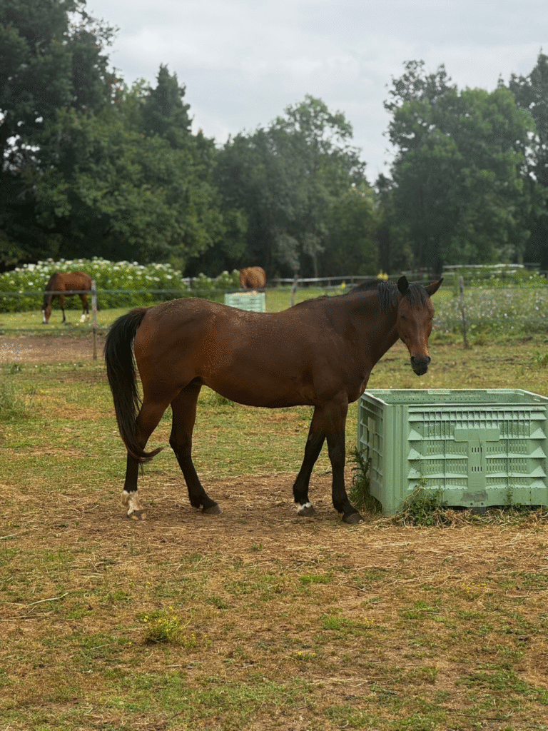 Design sans titre (28)