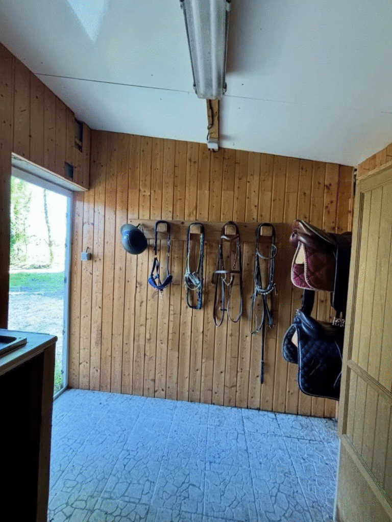 Design sans titre (31)