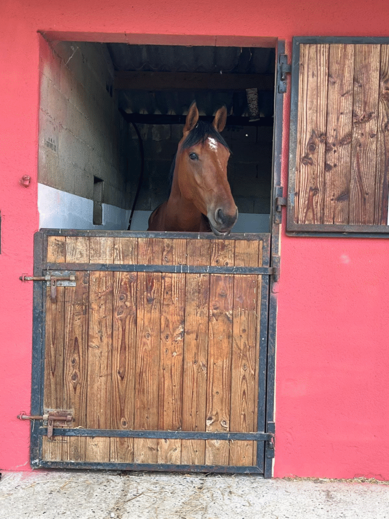 Design sans titre (32)