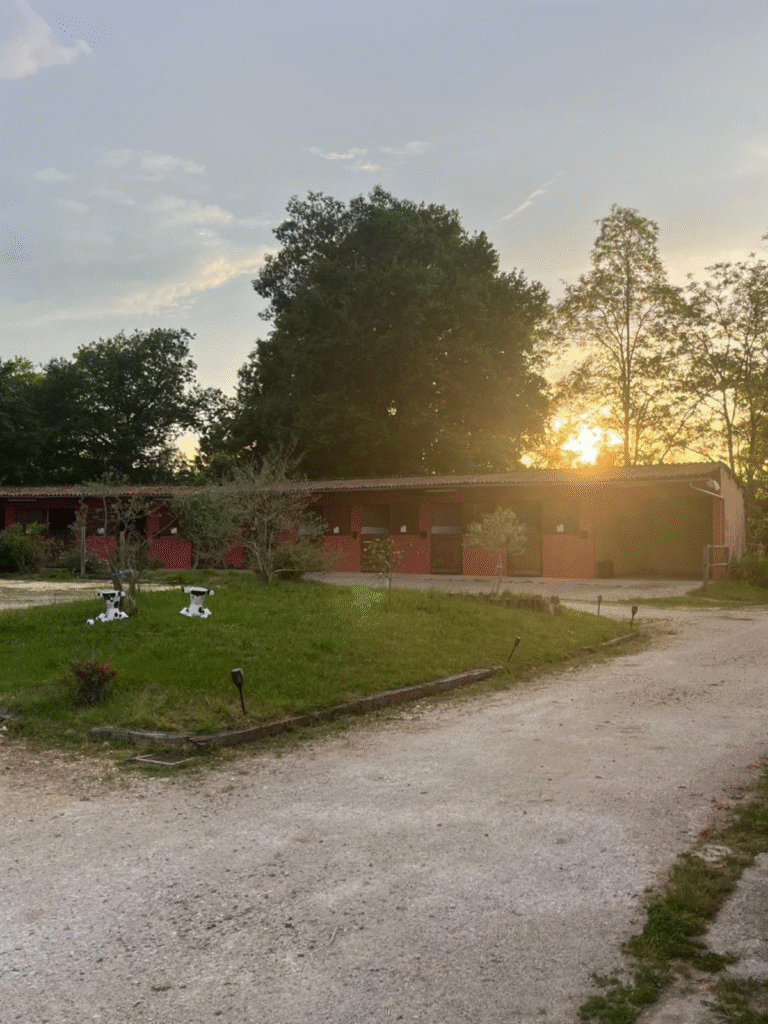 Design sans titre (34)