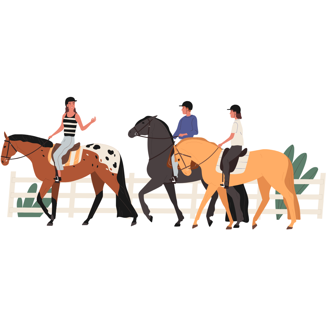 Illustration cours collectif à cheval