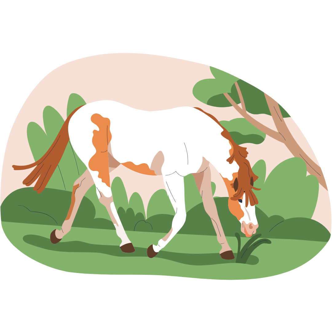 Illustration cheval au pré